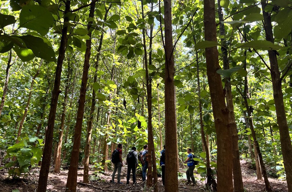 High-integrity offsets key to restoring confidence in voluntary carbon market